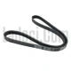 Alternatör Kayışı, 4PK946