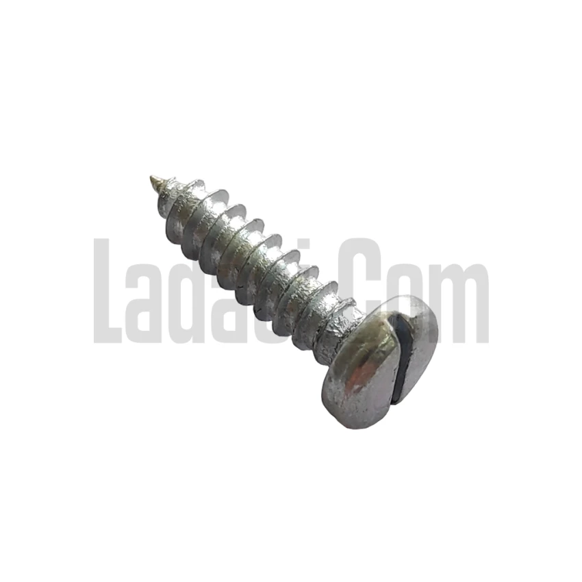 100 Adet Sac Vidası, Düz, Silindir Başlı, 3.9-13