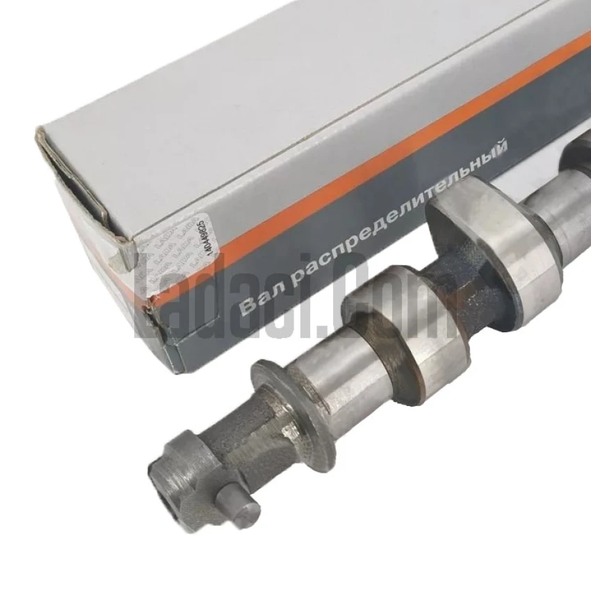 Lada Vega + Enj. Samara Eksantrik Mili, Okuyuculu