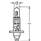 Far Ampülü, H1, 12V-55W